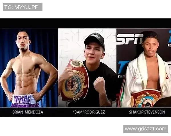 勒米厄与史蒂文森的巅峰对决谁将问鼎拳坛荣耀之巅